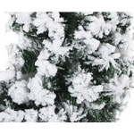 Imagen de CORONA ASPEN